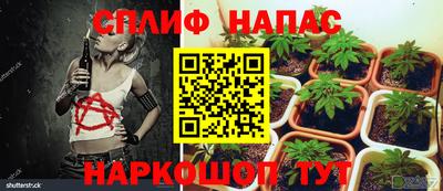 индика Ликино-Дулёво