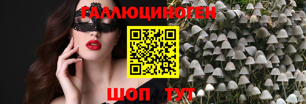 Дивногорск  Псилоцибиновые грибы мицелий  как найти закладки  Галлюциногенные грибы MAGIC MUSHROOMS  Вход с VPN 